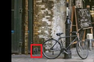 НАЙДИТЕ СЛОНА НА КАРТИНКЕ - ВИЗУАЛЬНЫЙ ТЕСТ photo 2022 05 18 12 24 091199 OTVET min