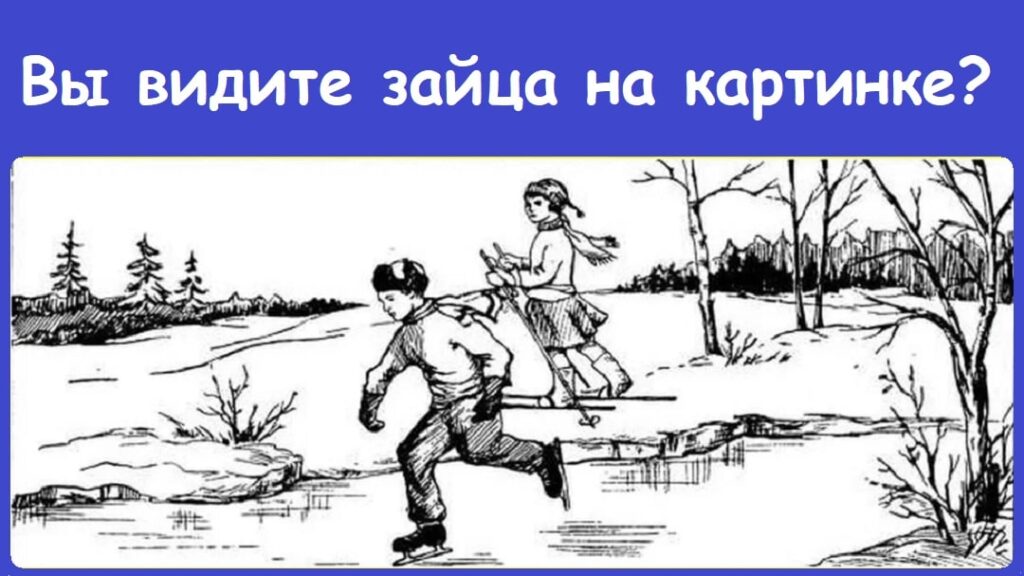 Головоломка в картинке на логику: Сможете разгадать? erbrstbb min