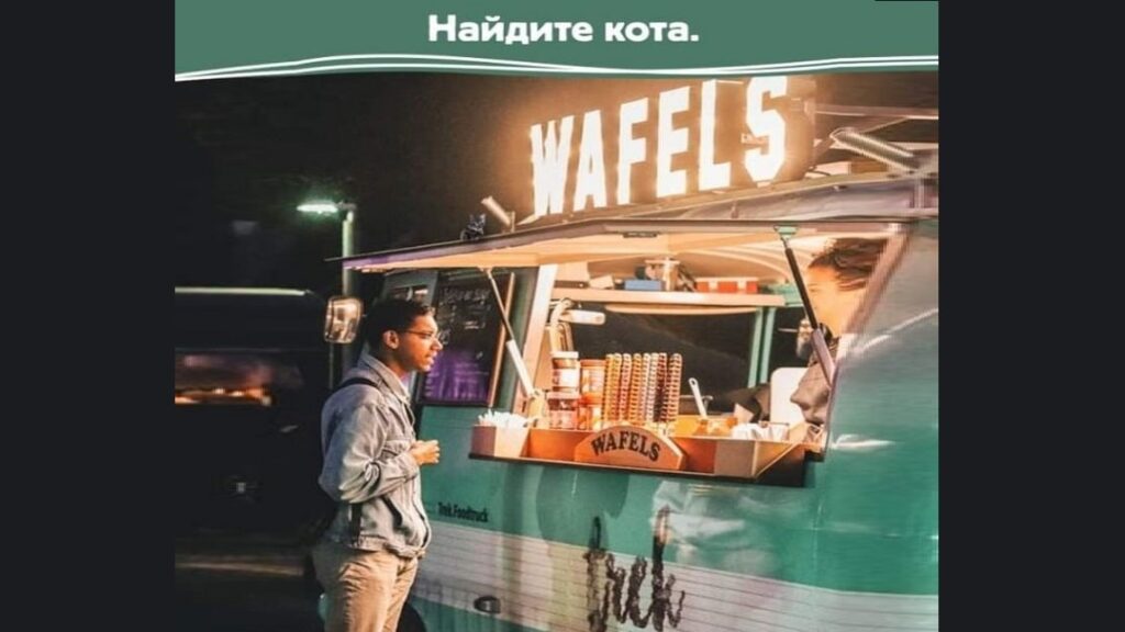 НАЙДИТЕ КОТА НА КАРТИНКЕ - ВИЗУАЛЬНЫЙ ТЕСТ photo 2022 06 1111 min