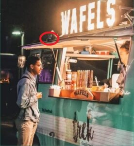 НАЙДИТЕ КОТА НА КАРТИНКЕ - ВИЗУАЛЬНЫЙ ТЕСТ photo 2022 06 17 21 39 402222222222otvet min