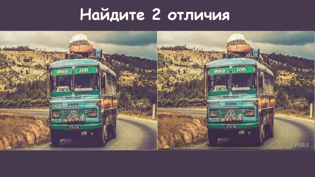 photo 2022 06 vk min