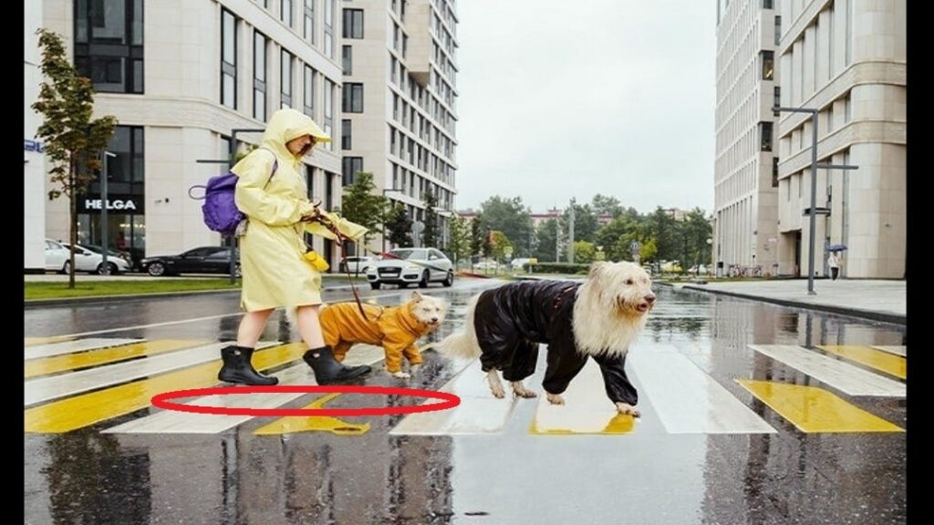 asdfvasdfvds min44 min