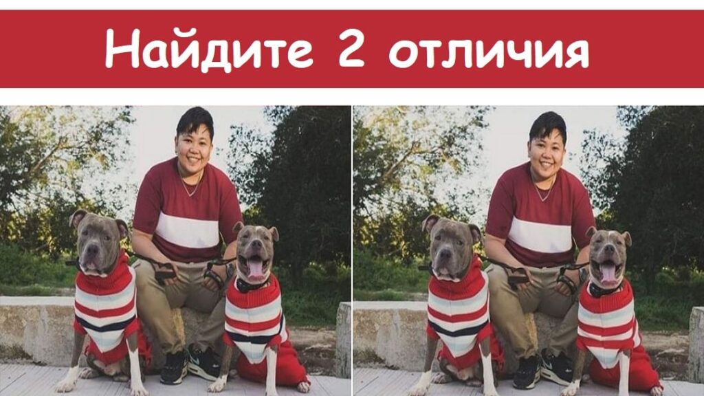 Попробуйте найти всего 2 отличия swgr min